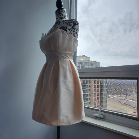 Wedding Peach Mini Bride Puffy Party Prom Dress - Picture 4 of 8